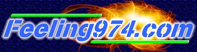 logo du site Feeling974.com
